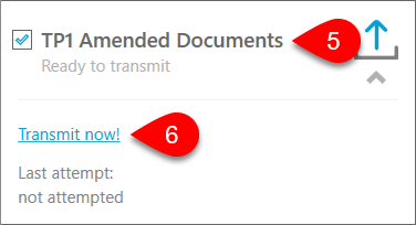 Screen capture showing how to transmit TP1 Amended Documents