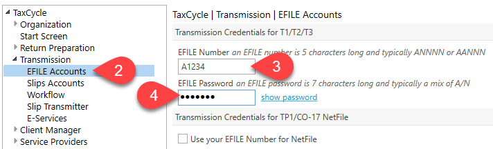 Screen Capture: EFILE in TaxCycle