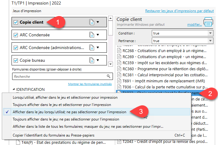 Capture d'écran : Afficher dans le jeu lorsqu’utilisé; ne pas sélectionner pour l’impression