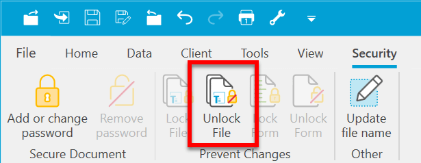 Screen Capture: Security > Unlock File