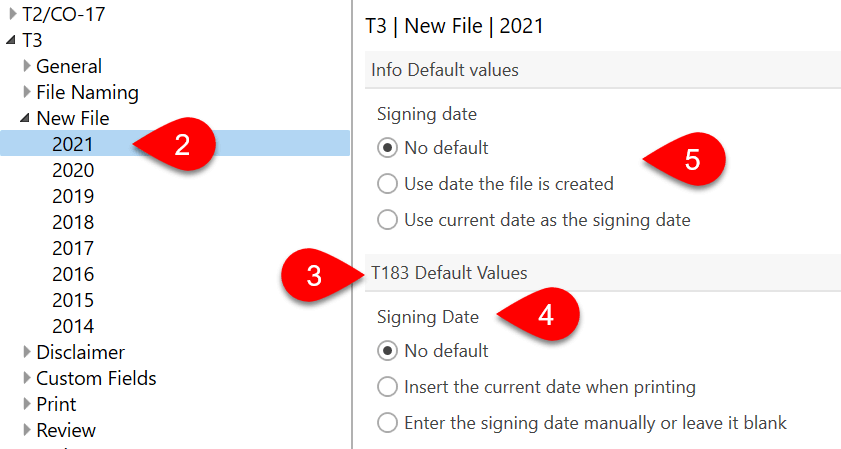 Screen Capture: T3 New File Options
