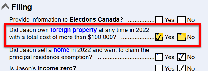 Screen Capture: Foreign Property Question on Info WS