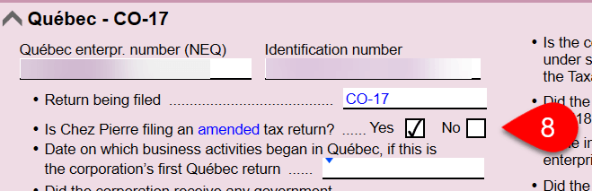 Screen Capture: Québec - CO-17 section on the Info worksheet