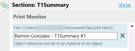 Screen Capture: Error when printing the T1 Summary