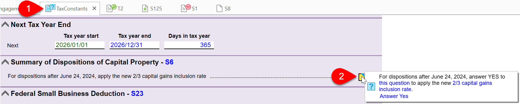 Screen Capture: TaxConstants worksheet