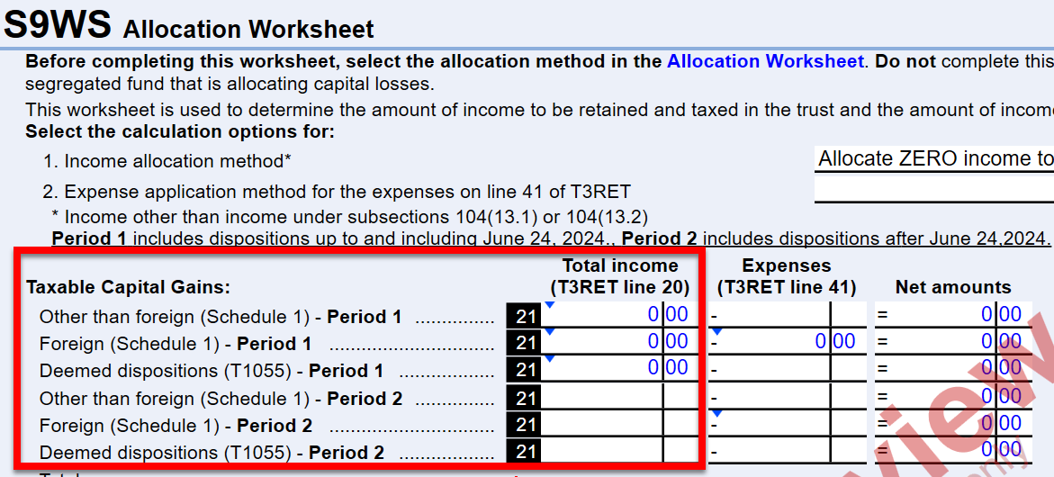 Screen Capture: Box 21 on the S9WS Allocation worksheet