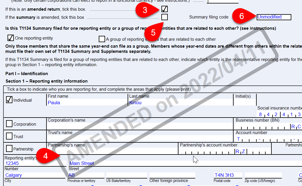 Screen Capture: Amended T1134