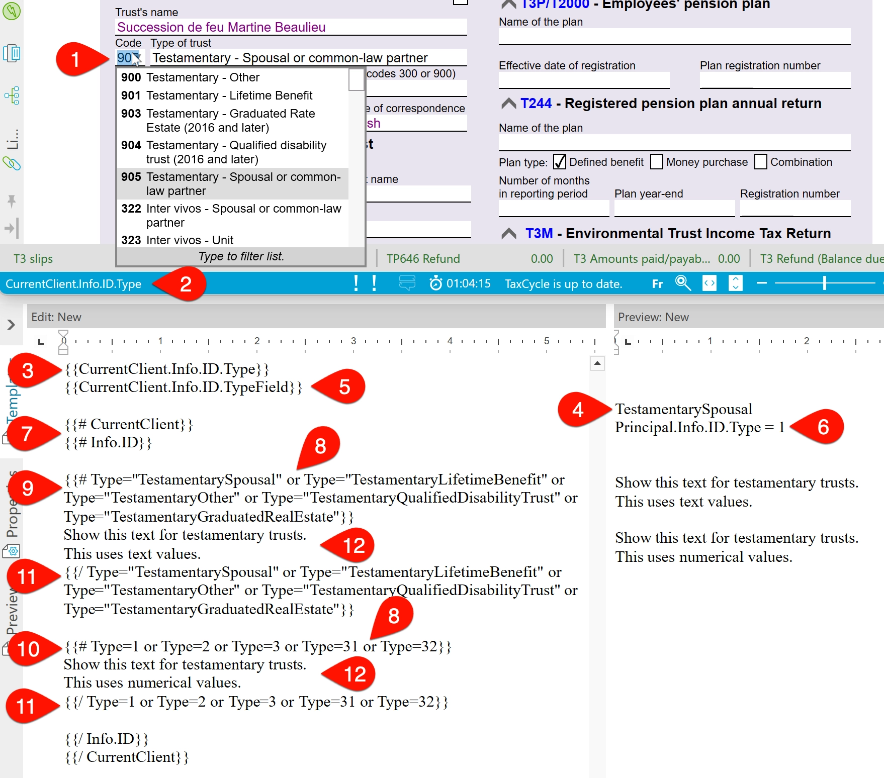 Screen Capture: Condition for testamentary trust type