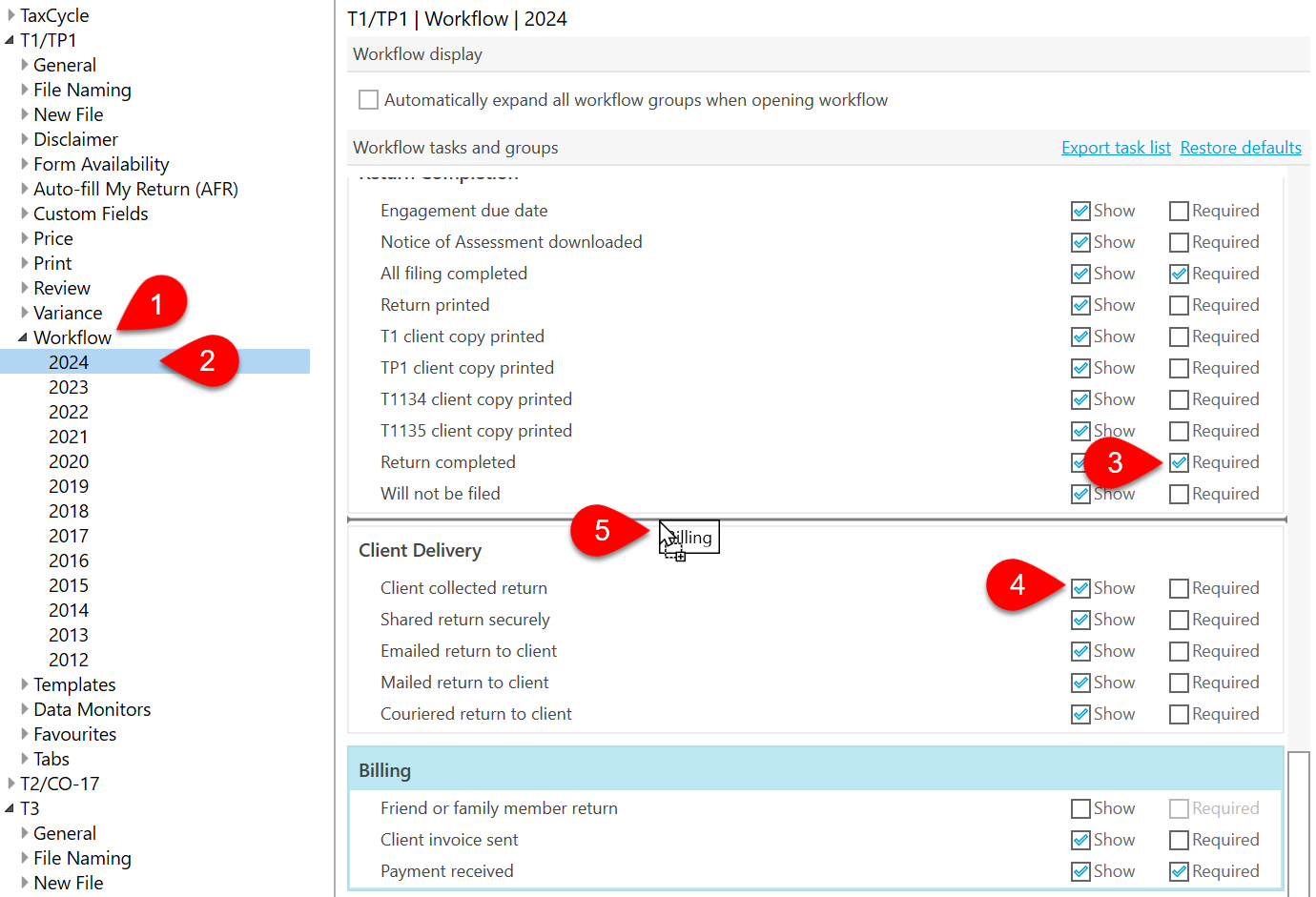 Screen Capture: Workflow options