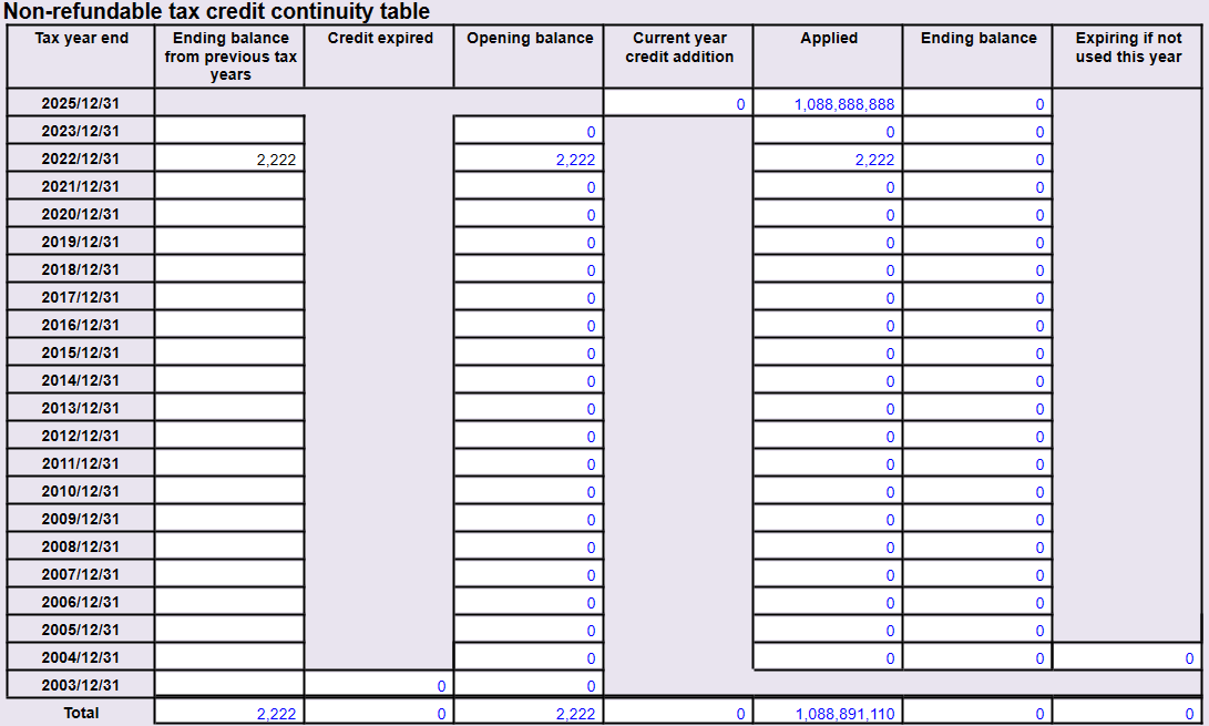 Screen Capture: Non-refundable tax credit continuity table