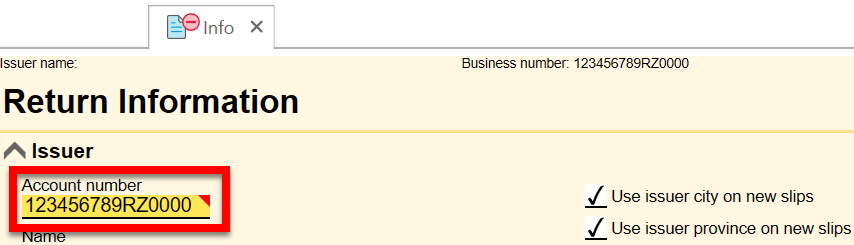 Screen Capture: Issuer account number on the Info worksheet