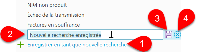 Capture d'écran : Enregistrer en tant que nouvelle recherche