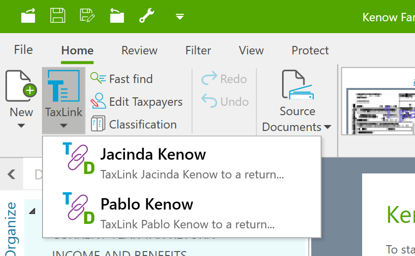 Screen Capture: TaxLink to a return