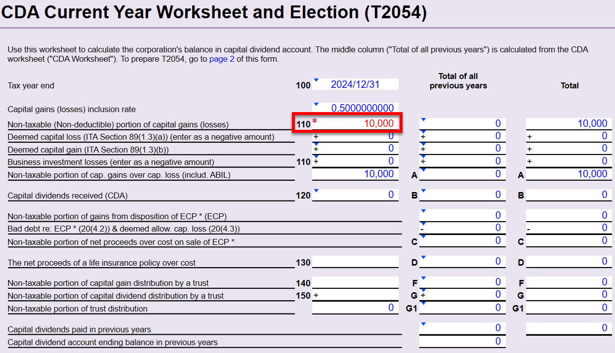 Screen Capture: CDA Current Year worksheet