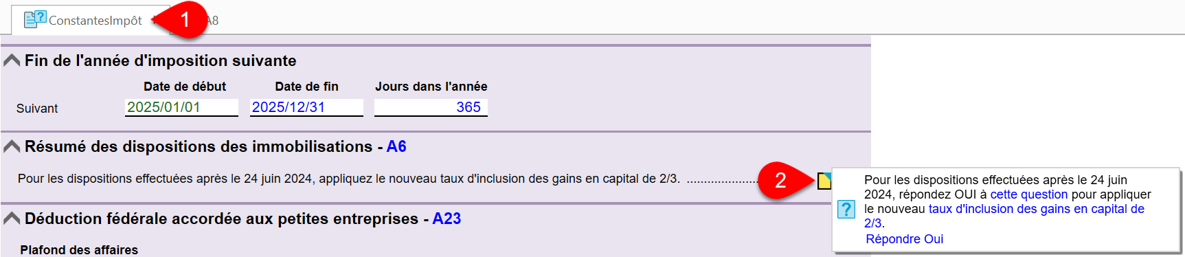 Capture d’écran :  grille des Constantes d'impôt