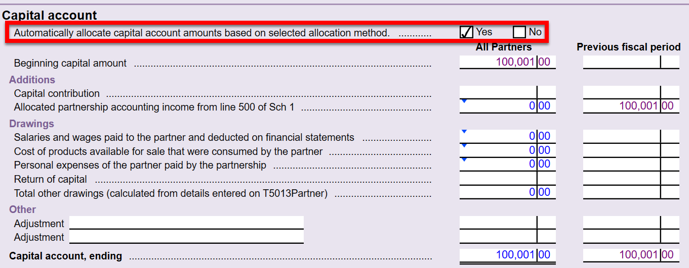 Screen Capture: Capital account