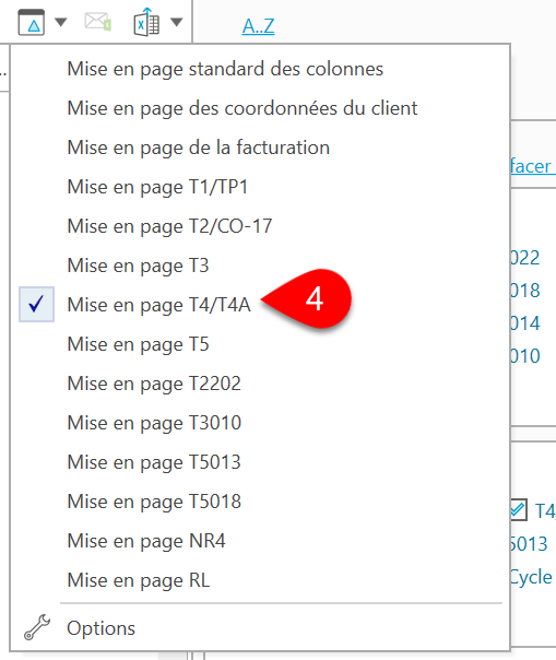 Capture d’écran : Mise en page des colonnes T4/T4A