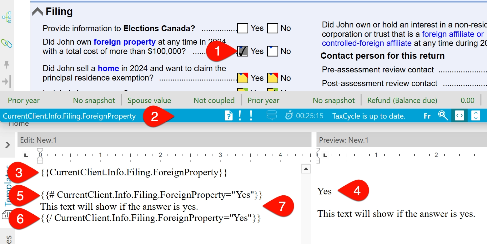 Screen Capture: Condition that shows text if the foreign property question is Yes