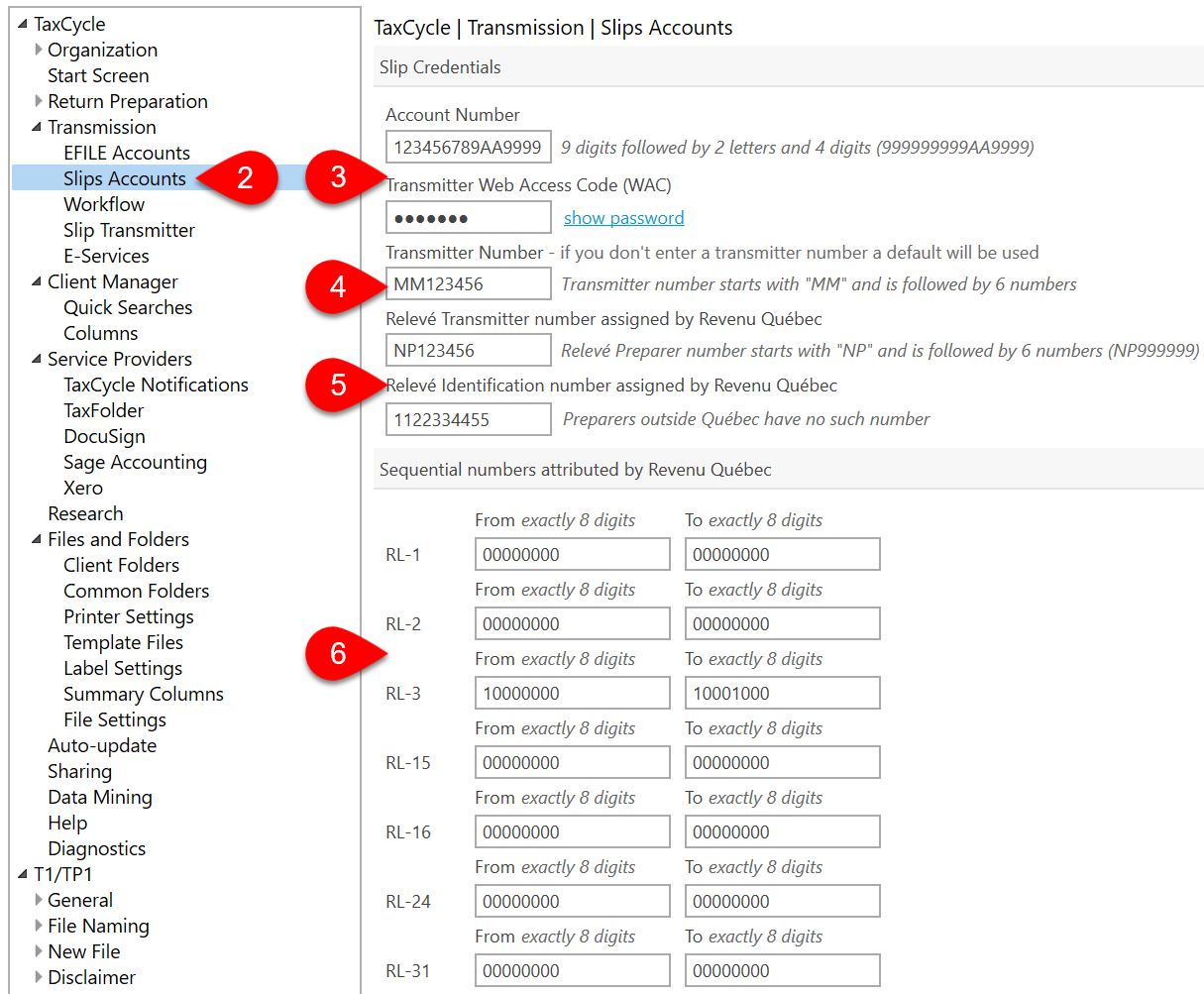 Screen Capture: Slips Accounts options