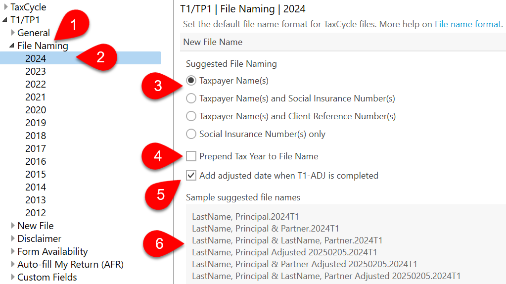 Screen Capture: File Naming options