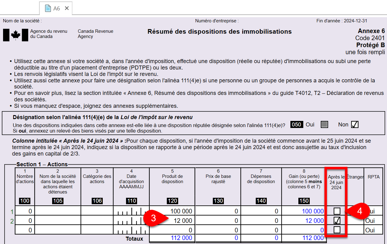 Capture d’écran : tableau de la Section 1 de l'A6