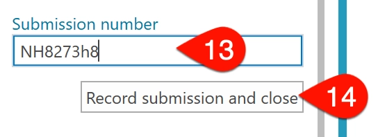 Screen Capture: Record Submission Number