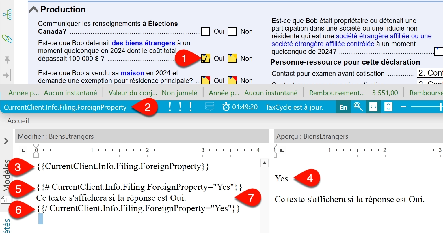 Capture d'écran : Condition qui affiche du texte si la question sur les biens étrangers est Oui