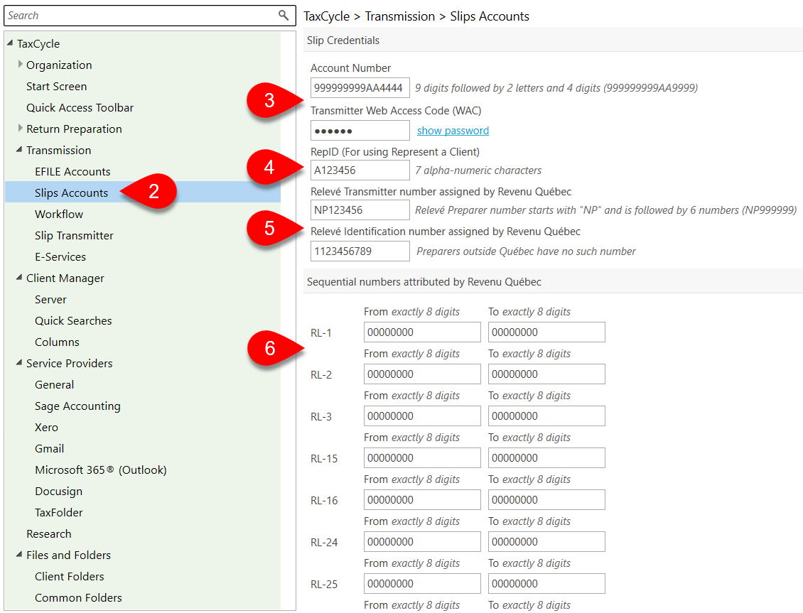 Screen Capture: Slips Accounts