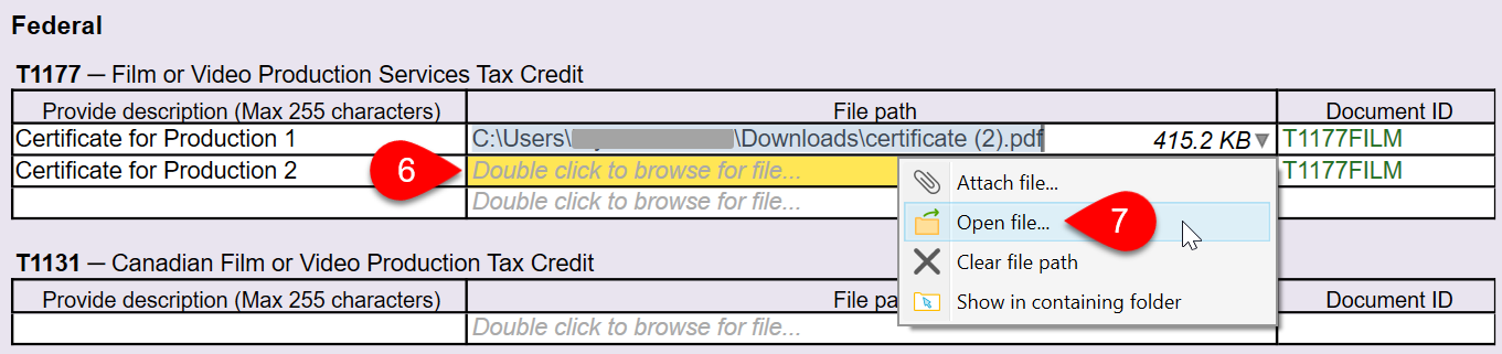 Screen Capture: Open file