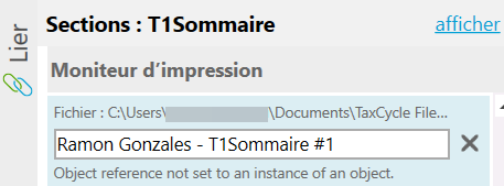 Capture d'écran : Erreur lors de l'impression du Sommaire T1